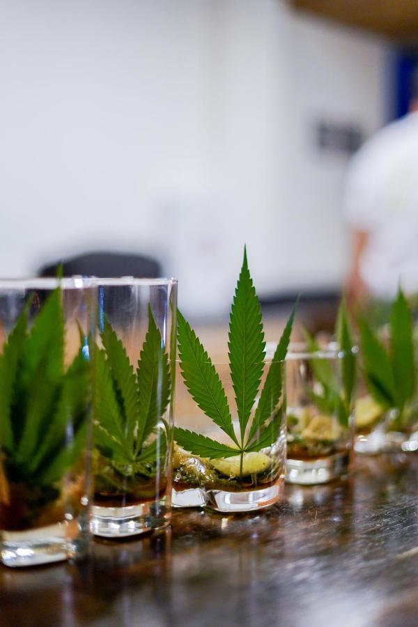 Cannatel Exclusive Hotel El Socorro 外观 照片